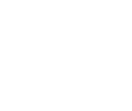 Logo-Aaldering